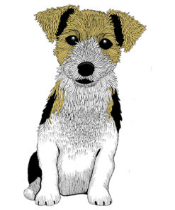 Heijastin C Vallilla Doggies Jack