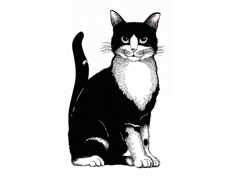 Heijastin C Vallilla Kitties Emo