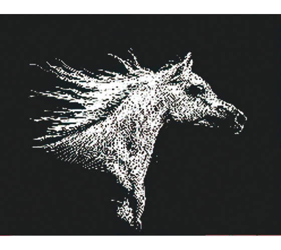 Raapekartonki Art Craft 305 x 229 mm valkoinen/musta /10