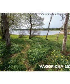 Seinäkalenteri 2026 Väggficka